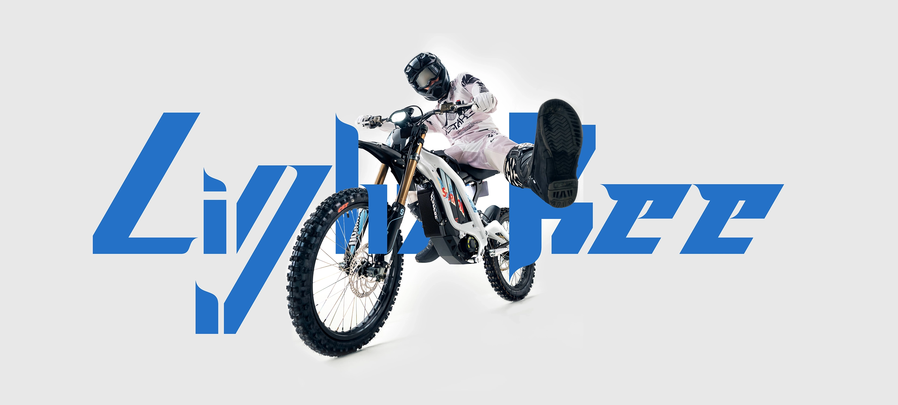 LightBeeX2026-pc