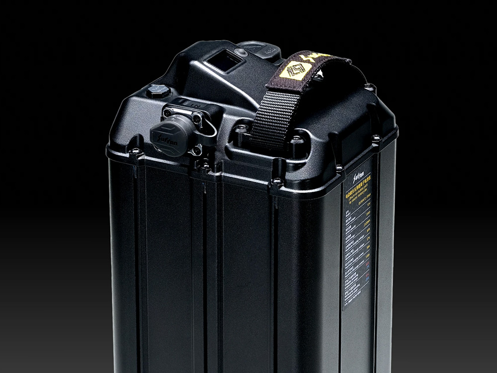 Light Bee X 2026-10