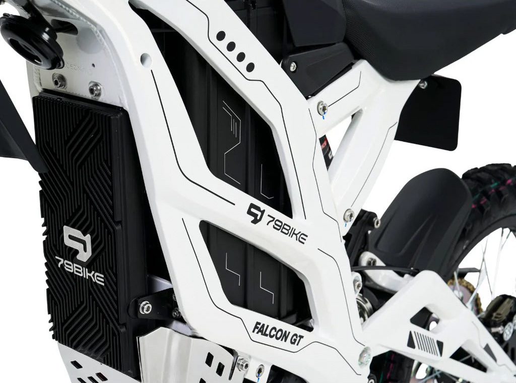 GT_Controller_and_Frame_Angle_White