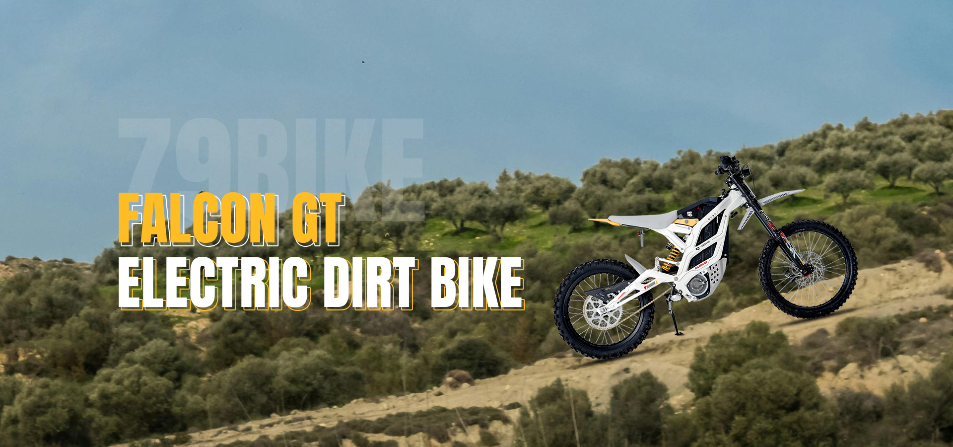 79bike_Falcon GT_banner