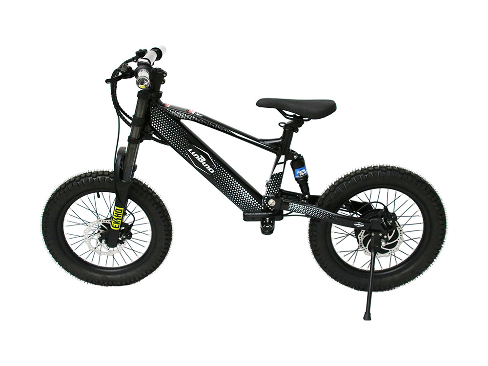 LBK01