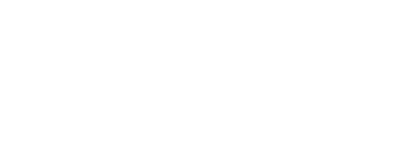 BINSEN_logo